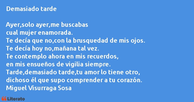 Frases de Miguel Visurraga Sosa