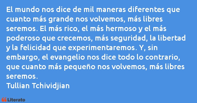 Frases de Tullian Tchividjian