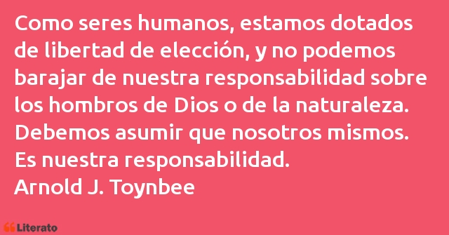 Frases de Arnold J. Toynbee