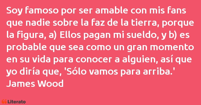 Frases de James Wood