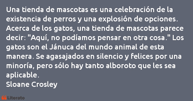 Frases de Sloane Crosley