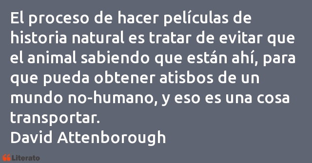 Frases de David Attenborough