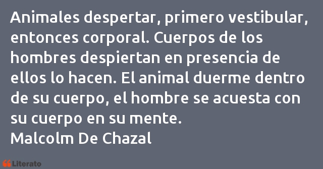 Frases de Malcolm De Chazal