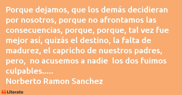 Frases de Norberto Ramon Sanchez