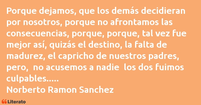 Frases de Norberto Ramon Sanchez