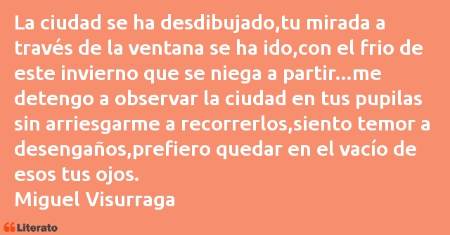 Frases de Miguel Visurraga