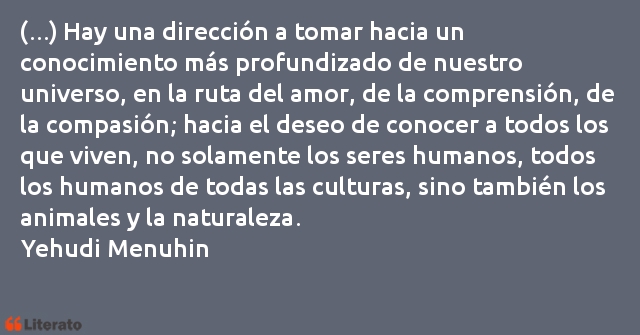 Frases de Yehudi Menuhin