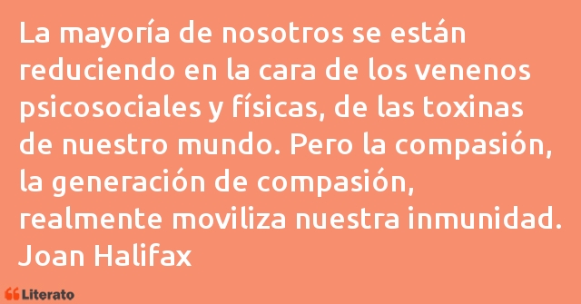 Frases de Joan Halifax