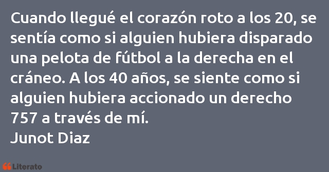 Frases de Junot Diaz