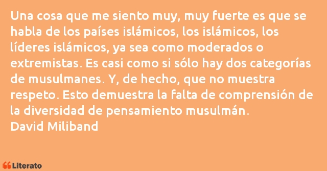 Frases de David Miliband