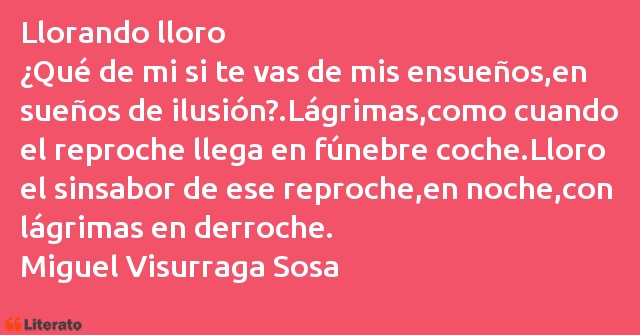 Frases de Miguel Visurraga Sosa