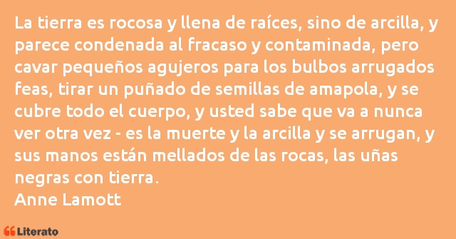 Frases de Anne Lamott