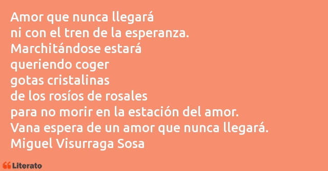 Frases de Miguel Visurraga Sosa