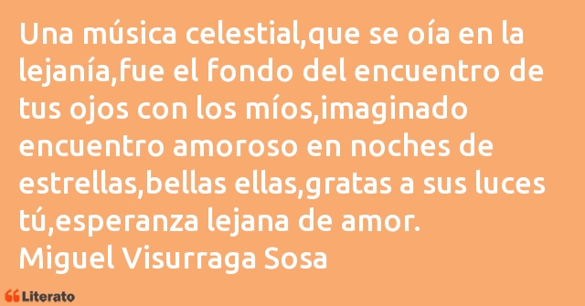 Frases de Miguel Visurraga Sosa