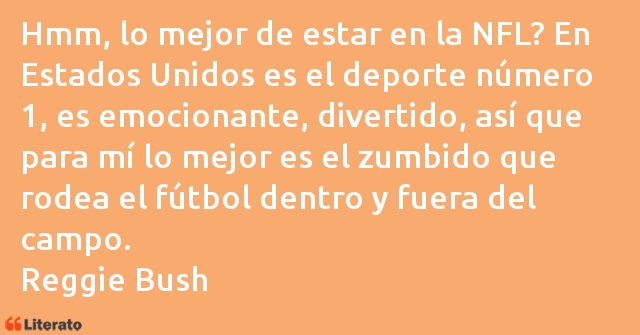 Frases de Reggie Bush