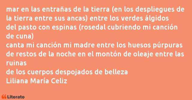 Frases de Liliana María Celiz