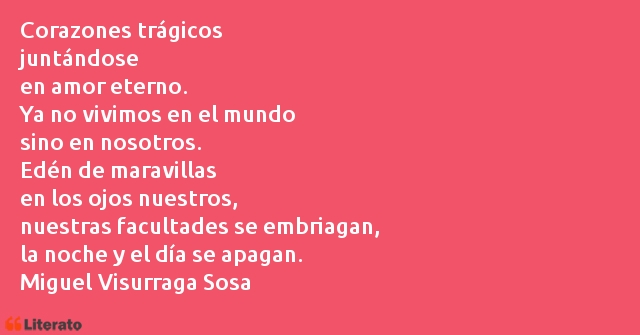 Frases de Miguel Visurraga Sosa