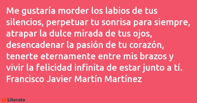 Frases de Francisco Javier Martín Martínez