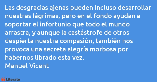 Frases de Manuel Vicent