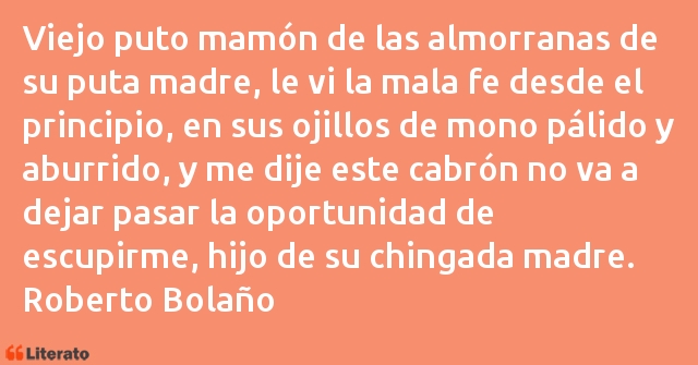 Frases de Roberto Bolaño