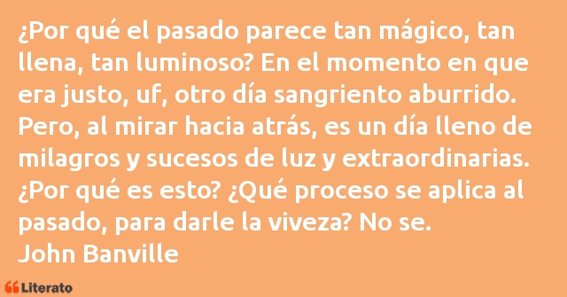 Frases de John Banville