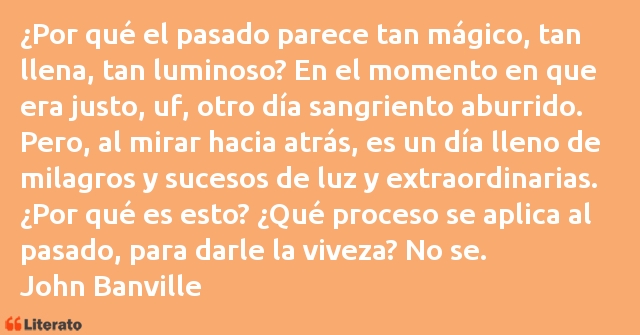 Frases de John Banville