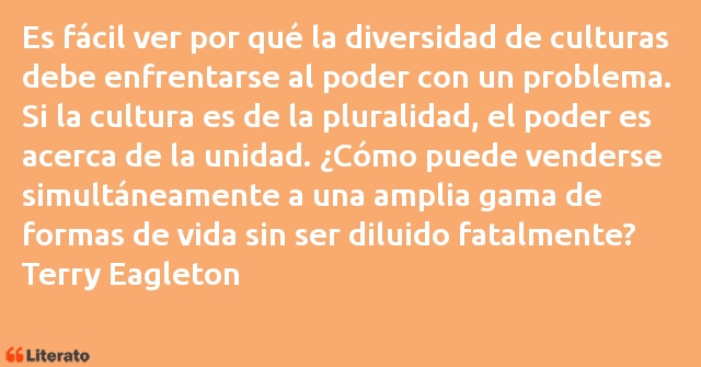 Frases de Terry Eagleton