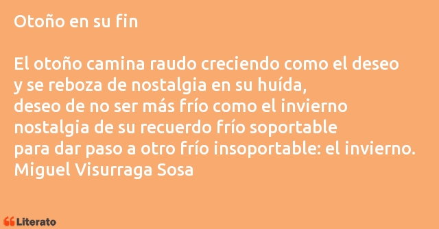 Frases de Miguel Visurraga Sosa