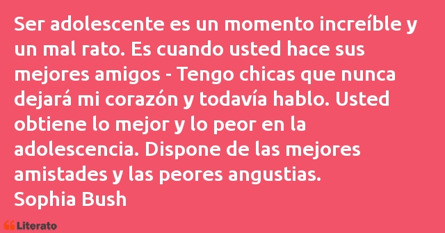 Frases de Sophia Bush