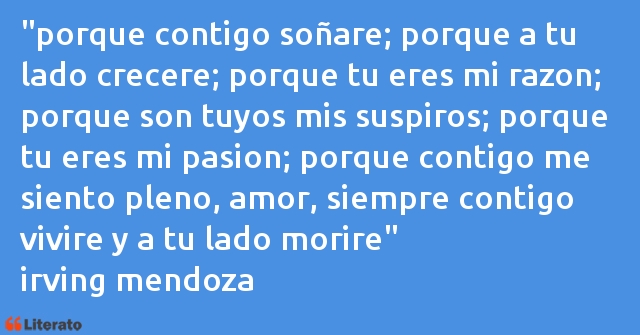 Frases de irving mendoza