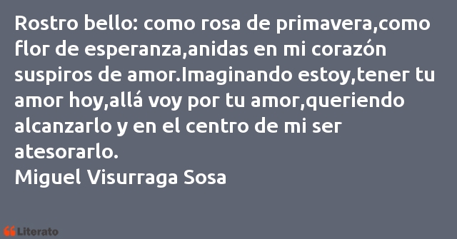 Frases de Miguel Visurraga Sosa