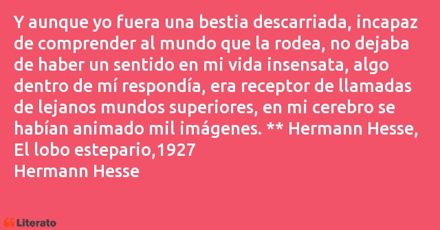 Frases de Hermann Hesse