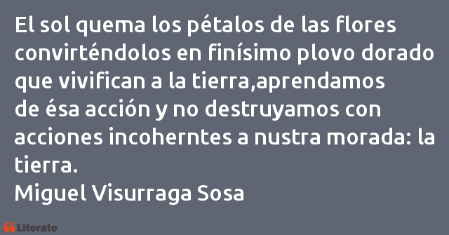 Frases de Miguel Visurraga Sosa