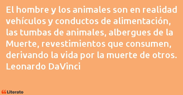 Frases de Leonardo Da Vinci