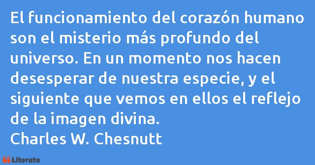 Frases de Charles W. Chesnutt