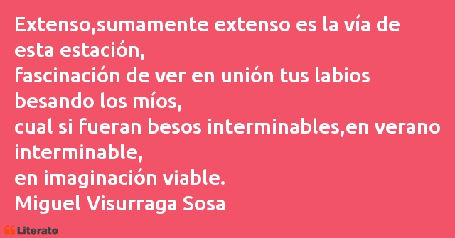 Frases de Miguel Visurraga Sosa