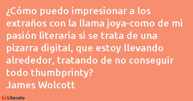 Frases de James Wolcott