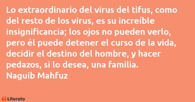 Frases de Naguib Mahfouz