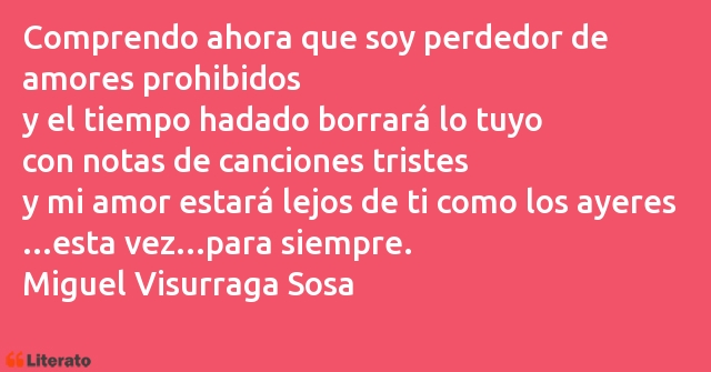 Frases de Miguel Visurraga Sosa