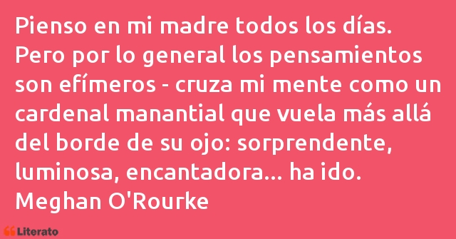 Frases de Meghan O'Rourke