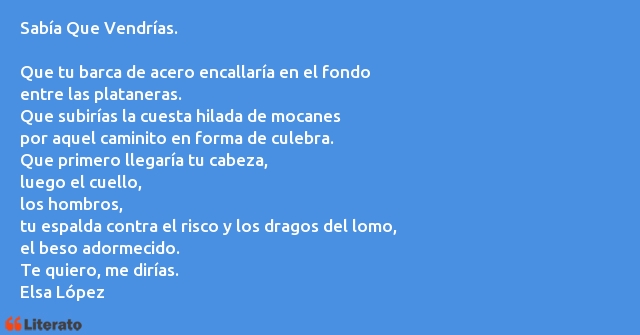 Frases de Elsa López