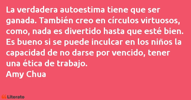 Frases de Amy Chua