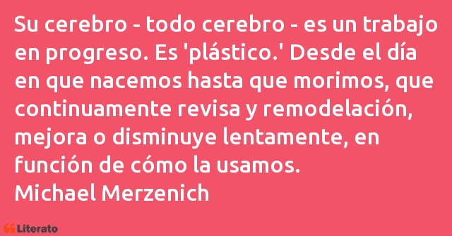 Frases de Michael Merzenich