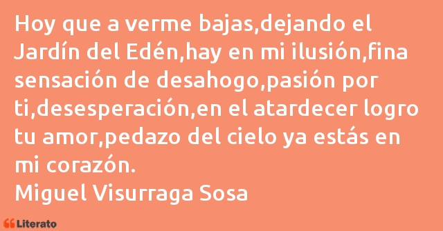 Frases de Miguel Visurraga Sosa