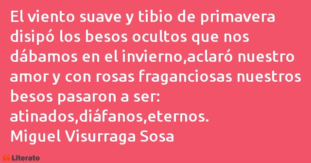 Frases de Miguel Visurraga Sosa