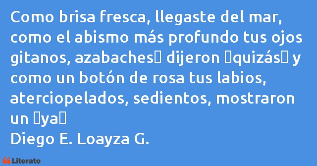 Frases de Diego E. Loayza G.