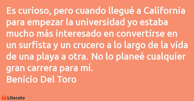 Frases de Benicio Del Toro