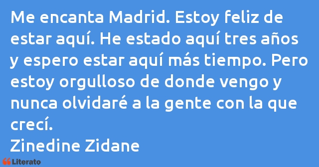 Frases de Zinedine Zidane