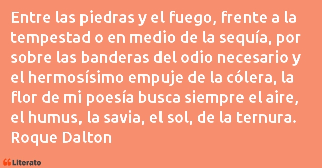 Frases de Roque Dalton