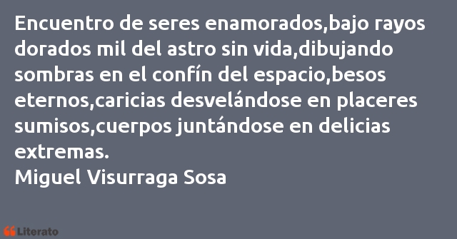 Frases de Miguel Visurraga Sosa